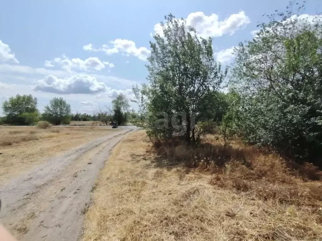 Участок в Ростовская область, Усть-Донецкий район, Мелиховская ст-ца ... - Фото 1