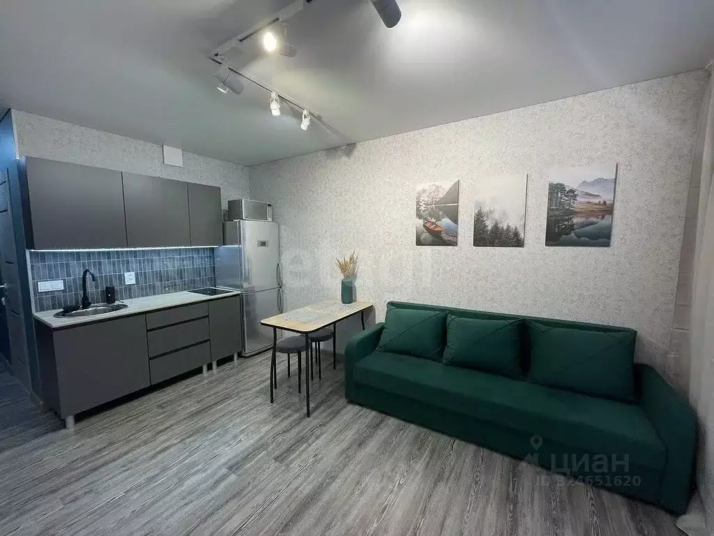 Студия Удмуртия, Ижевск Клубная ул., 13Б (26.2 м) - Фото 2