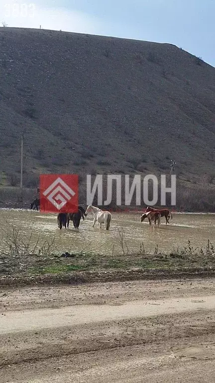 Участок в Крым, Судак муниципальный округ, с. Солнечная Долина ул. ... - Фото 2
