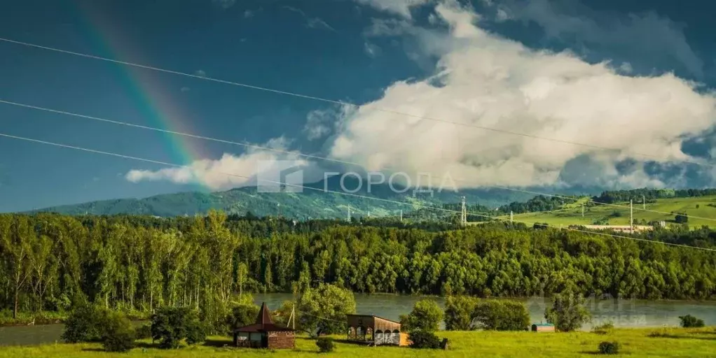 Участок в Алтайский край, Алтайский район, Айский сельсовет, Урочище ... - Фото 1