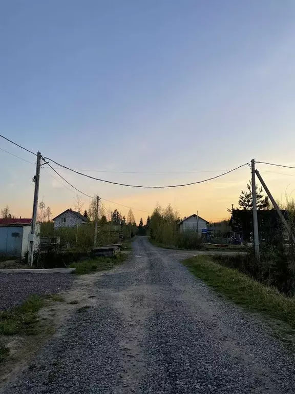 Участок в Ленинградская область, Сосновый Бор Рублевка кп,  (11.0 ... - Фото 0