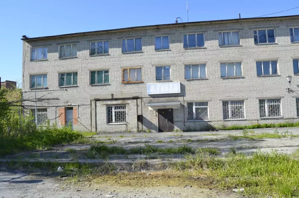 Помещение свободного назначения в Карелия, Кондопога Ветлечебная ул., ... - Фото 1