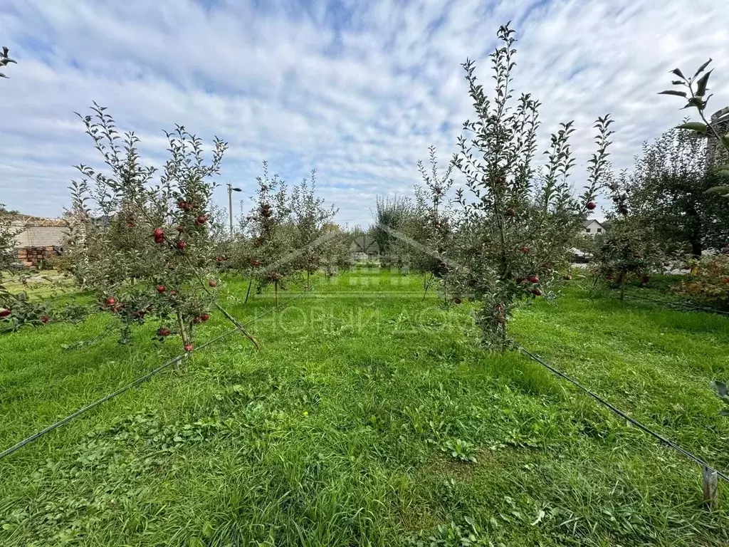 Участок в Кабардино-Балкария, Нальчик городской округ, с. Кенже ул. ... - Фото 1