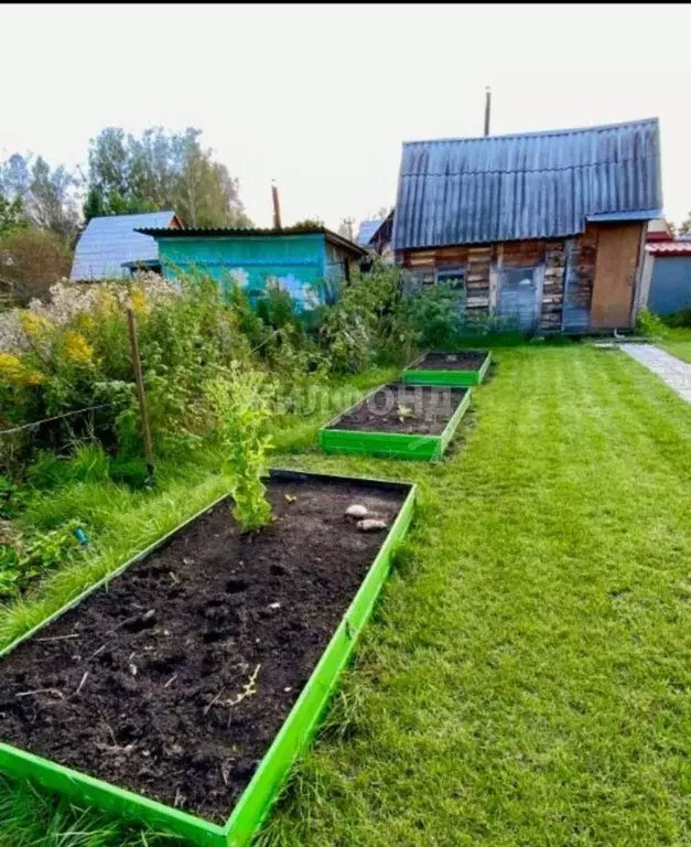 Дом в Новосибирская область, Мошковский район, Линза СНТ  (60 м) - Фото 0