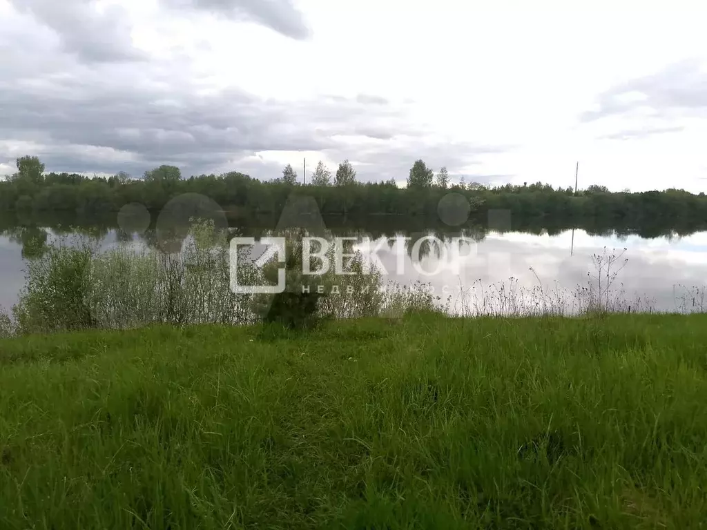 Участок 12 сот. (ИЖС) - Фото 0