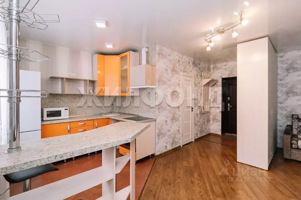 1-к кв. Новосибирская область, Новосибирск Рубежная ул., 10/2 (29.6 м) - Фото 1