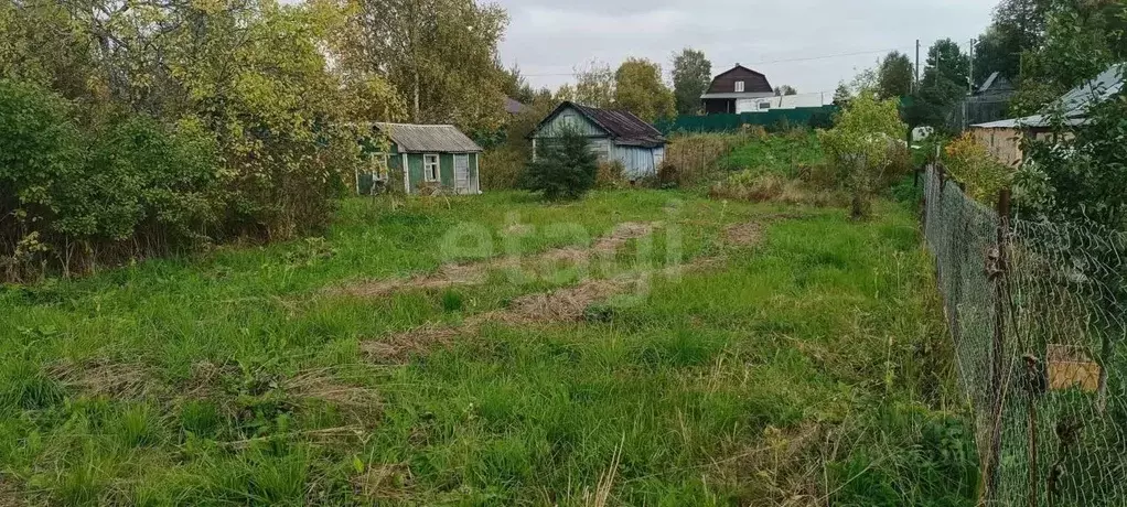 Участок в Вологодская область, Репка садоводческое товарищество  ... - Фото 2
