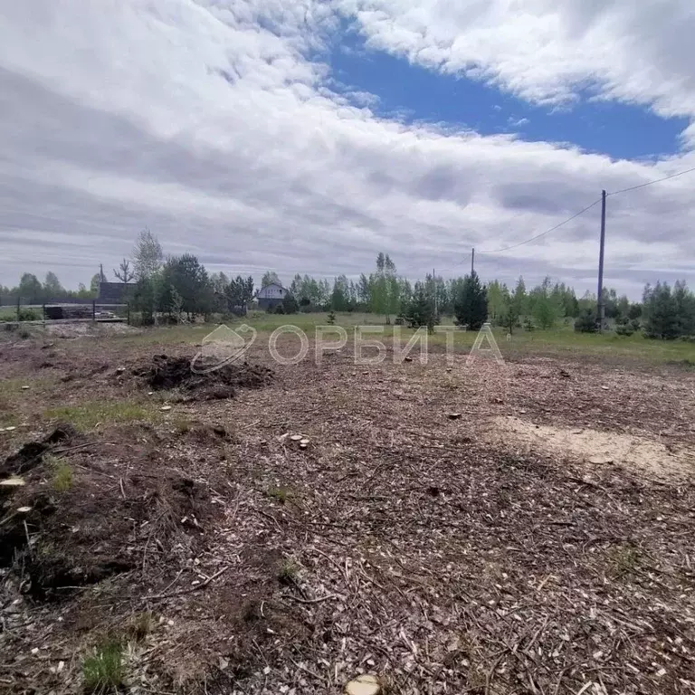 Участок в Тюменская область, Тюменский район, Архип садовое общество  ... - Фото 0