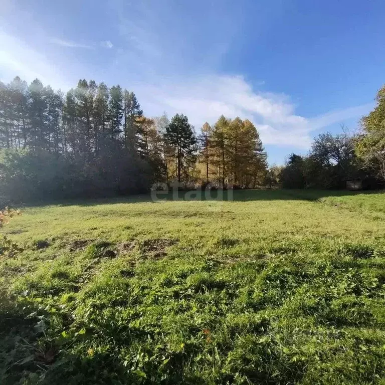 Участок в Калужская область, Село Бабынино с/пос, д. Альшаны  (20.0 ... - Фото 2