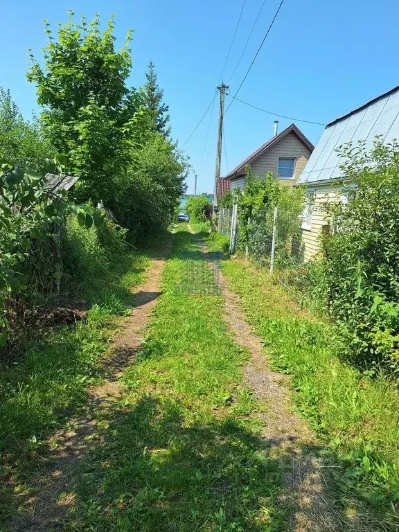 Участок в Чувашия, Чебоксары Родничок СНТ, 11 (4.0 сот.) - Фото 2