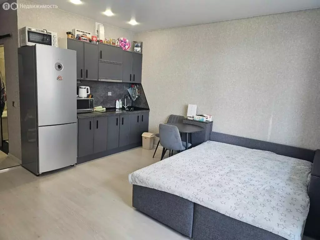 Квартира-студия: Хабаровск, Краснореченская улица, 225 (28.7 м) - Фото 1
