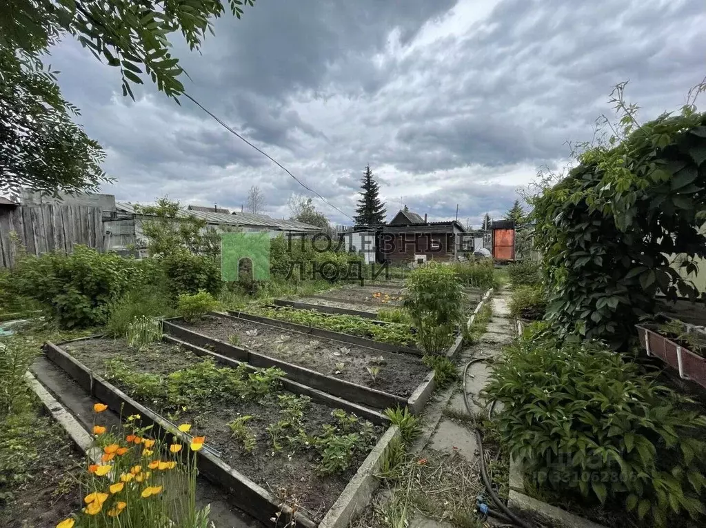 Дом в Иркутская область, Ангарск Поляны СНТ,  (39 м) - Фото 2