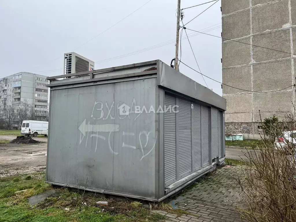 Торговая площадь в Калининградская область, Калининград ул. Генерала ... - Фото 1