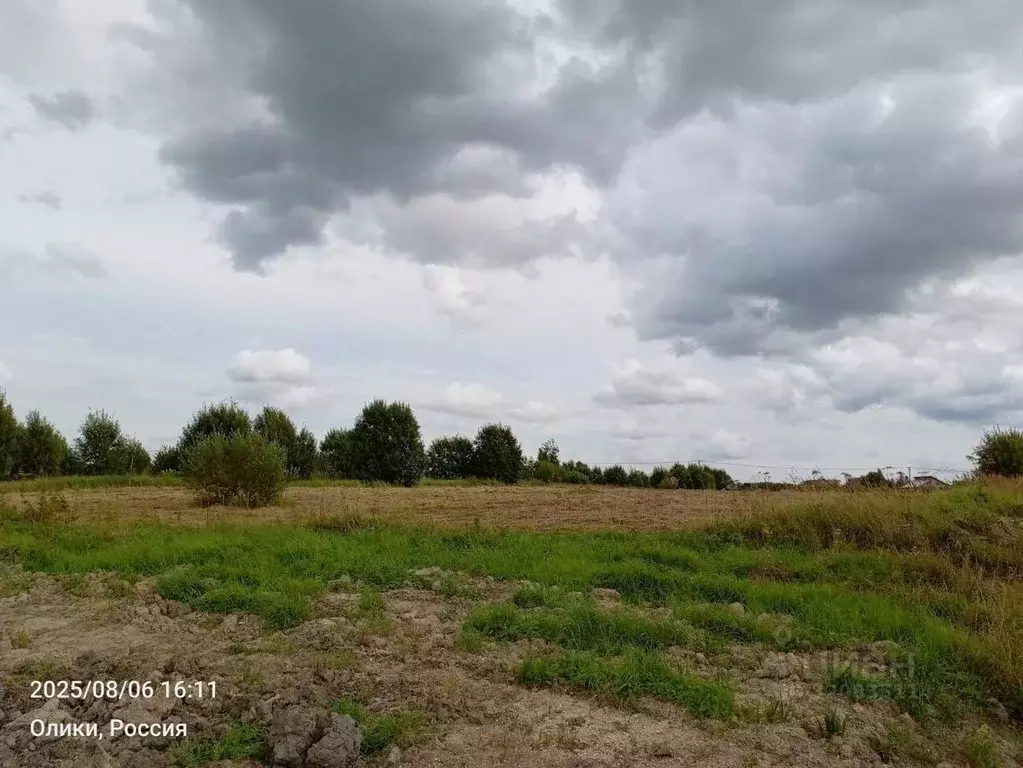 Участок в Ленинградская область, Ломоносовский район, Ропшинское ... - Фото 0