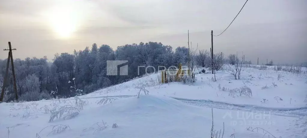 Участок в Кемеровская область, Новокузнецкий муниципальный округ, пос. ... - Фото 0