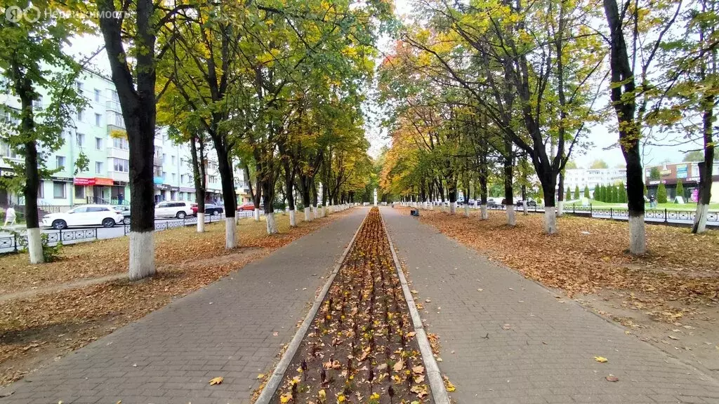 3-комнатная квартира: Конаково, проспект Ленина, 8 (54.1 м) - Фото 1