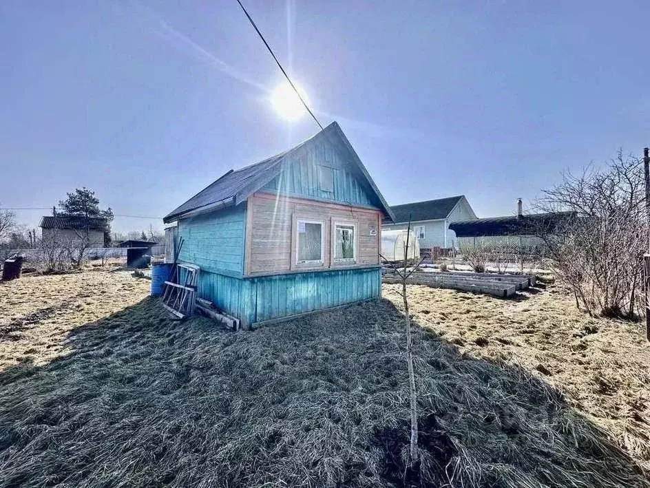 Участок в Новгородская область, Новгородский район, Панковское ... - Фото 1