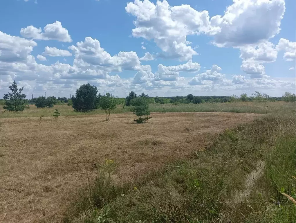 Участок в Воронежская область, Рамонский район, Березовское с/пос, Уют ... - Фото 1