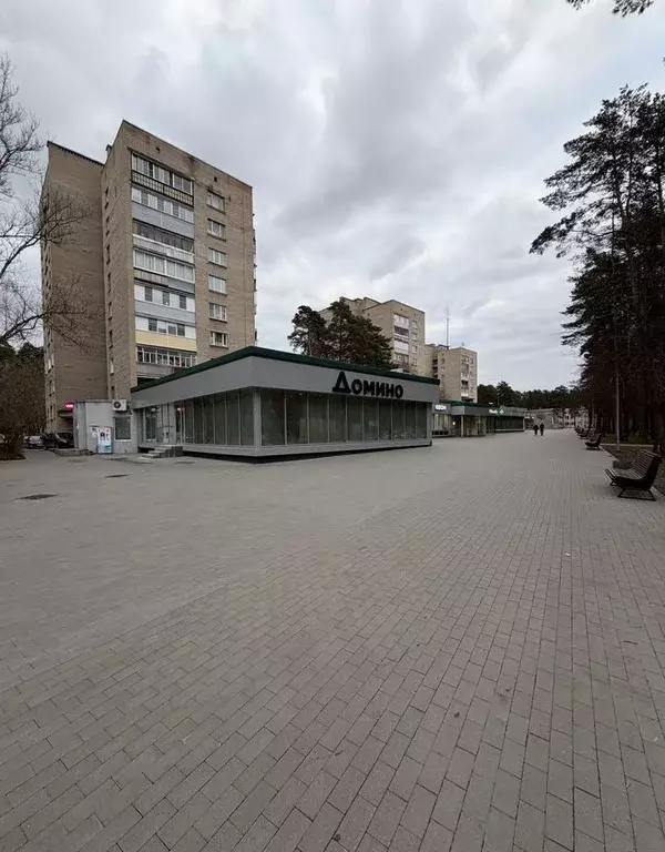 Помещение свободного назначения в Московская область, Протвино ... - Фото 1