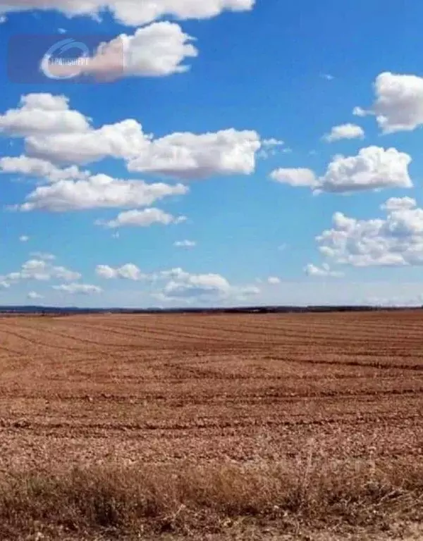 Участок в Воронежская область, Новоусманский район, с. Рогачевка  ... - Фото 1