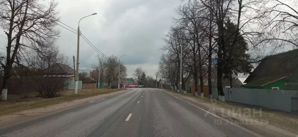 Дом в Калужская область, Жуковский район, с. Высокиничи ул. Александра ... - Фото 2