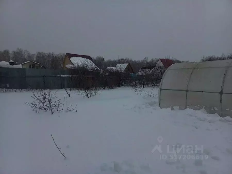 Участок в Новосибирская область, Коченевский район, д. Крохалевка ул. ... - Фото 1