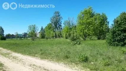 Участок в Ярославская область, Некрасовский муниципальный округ, ... - Фото 2