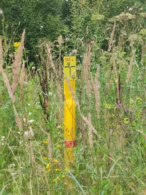 Участок в Калужская область, Калуга городской округ, д. Канищево ул. ... - Фото 2