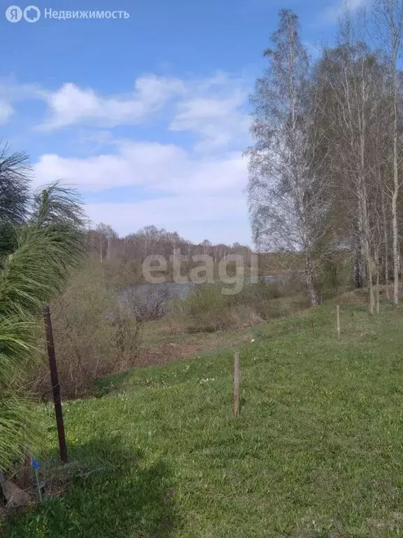 Участок в Тогучинский район, Репьевский сельсовет, село Репьёво (15 м) - Фото 0