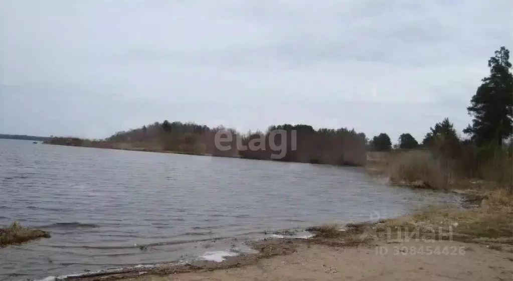 Участок в Ивановская область, Комсомольский район, с. Октябрьский  ... - Фото 0