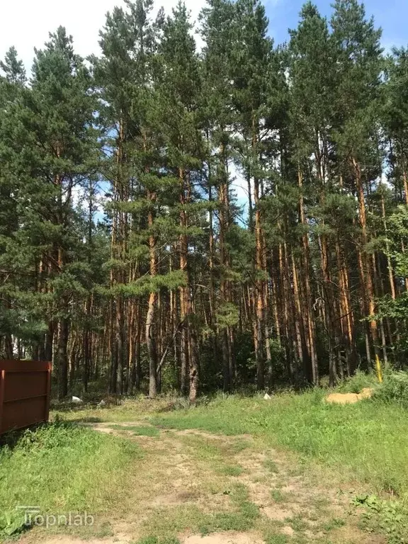 Участок в Тамбовская область, Знаменский муниципальный округ, д. ... - Фото 1