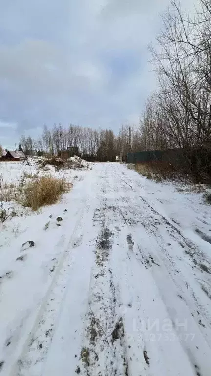 Участок в Ханты-Мансийский АО, Сургут Прибрежный-1 садовое ... - Фото 1