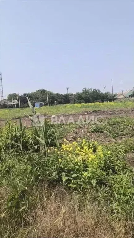 Участок в Краснодарский край, Краснодар Солнышко садовое товарищество, ... - Фото 0
