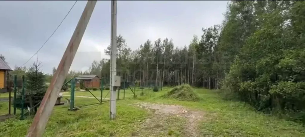 Участок в Новгородская область, Новгородский район, Панковское ... - Фото 2