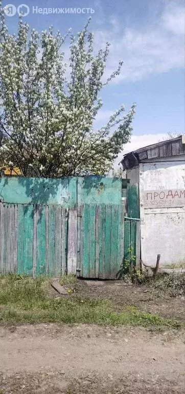 Участок в Кемерово, СНТ Яблочко (5 м) - Фото 1