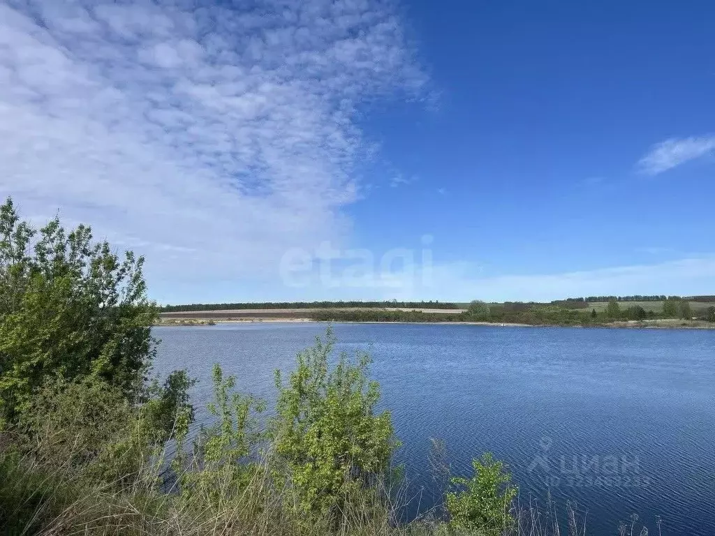 Участок в Курская область, Курский район, Нижнемедведицкий сельсовет, ... - Фото 1