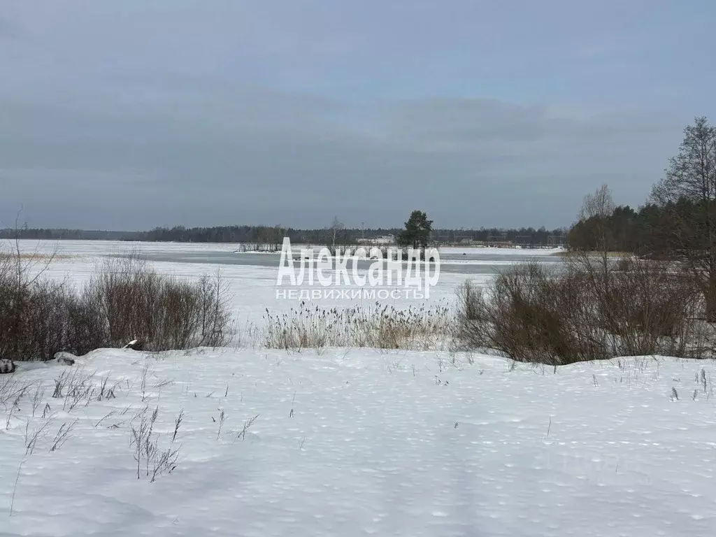 Дом в Ленинградская область, Приозерск ул. Дачная, 15 (49 м) - Фото 2