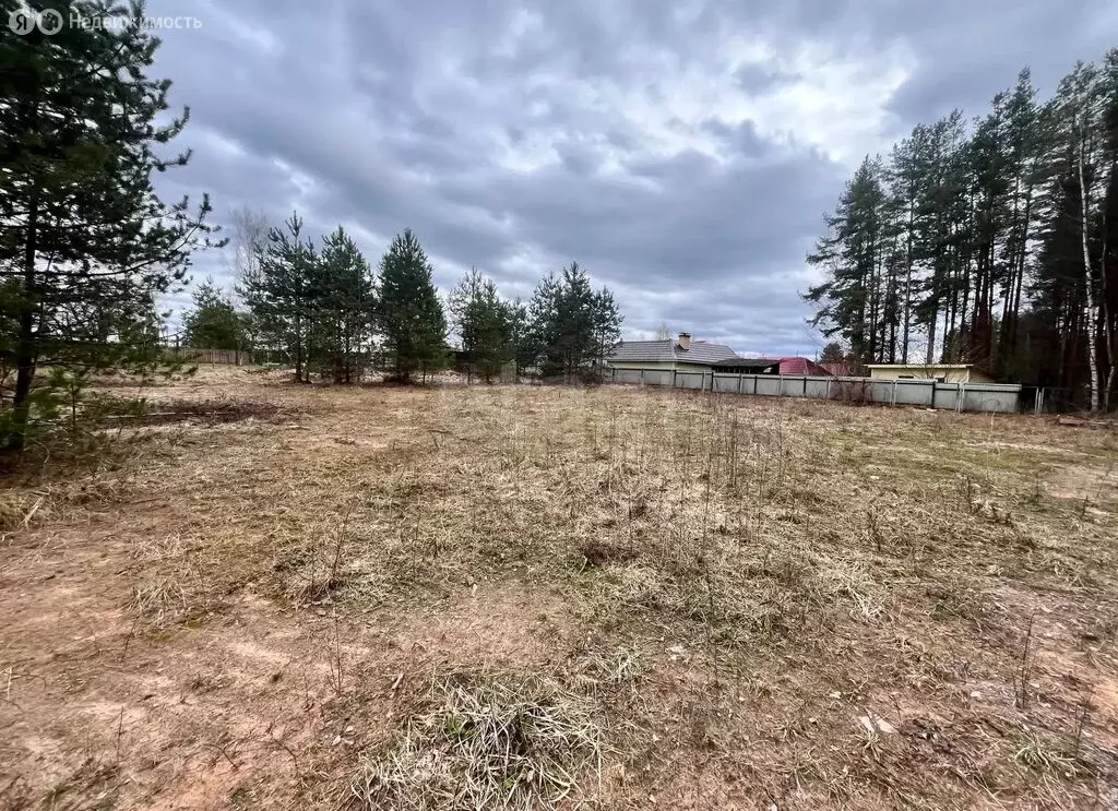 Участок в Будогощское городское поселение, деревня Авдетово, Озёрная ... - Фото 2
