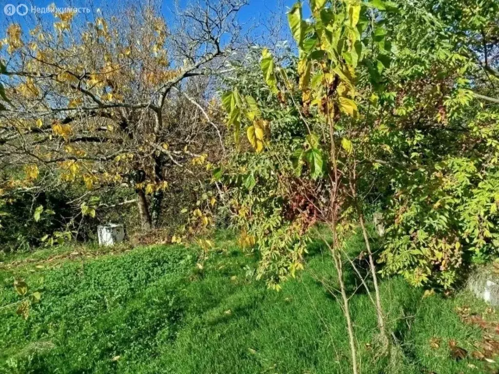 Участок в село Красная Воля, улица Володи Ульянова (8 м) - Фото 1