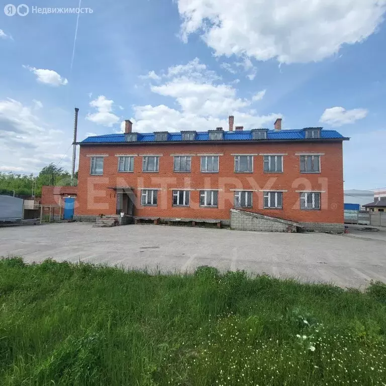 Помещение свободного назначения (985 м) - Фото 1