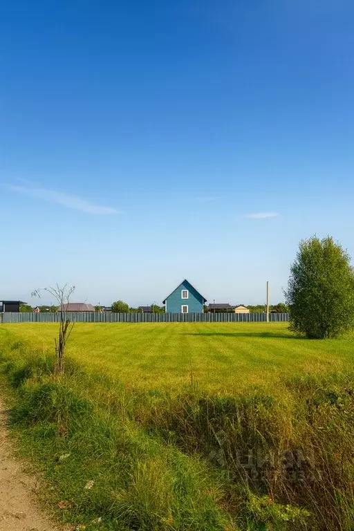 Участок в Калужская область, Жуковский муниципальный округ, Корсаково ... - Фото 2