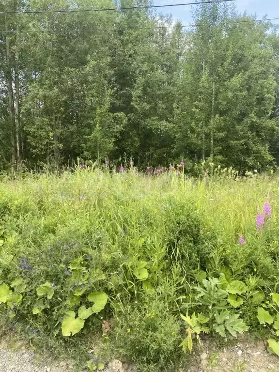 Участок в Коми, Ухта ул. 2-я Нагорная, 77 (13.2 сот.) - Фото 2