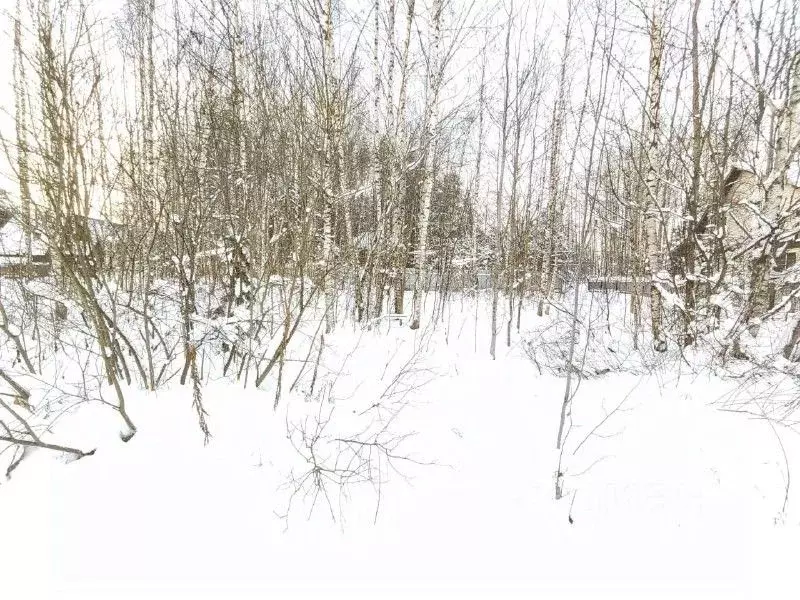 Участок в Московская область, Талдомский городской округ, д. ... - Фото 1
