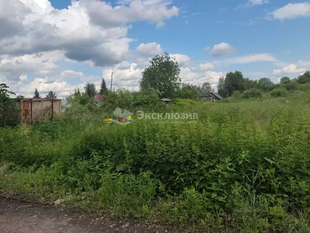 Участок в Тюменская область, Нижнетавдинский район, Виктория ТСН ул. ... - Фото 1
