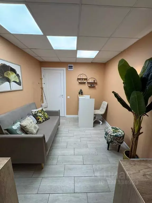 Помещение свободного назначения в Москва Ермолаевский пер., 4 (23 м) - Фото 2