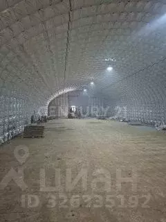 Склад в Московская область, Щелково городской округ, Отрада СНТ 33 ... - Фото 2