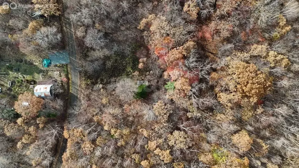 Участок в Надеждинский район, СНТ Лотос-2, 272 (10 м) - Фото 2