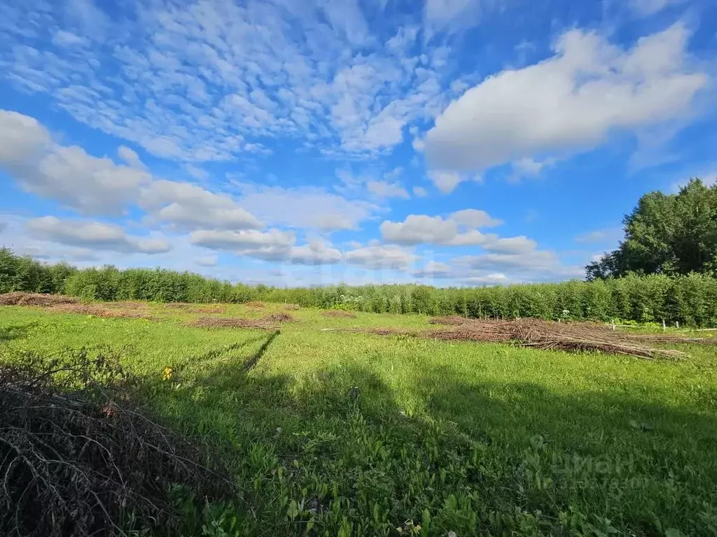 Участок в Коми, Сыктывдинский район, с. Выльгорт  (11.4 сот.) - Фото 2