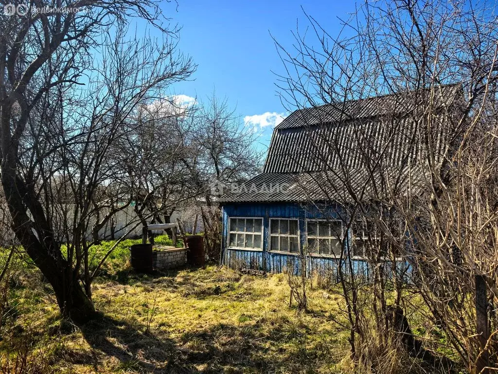 Дом в Калининград, СНТ Дельфин, Центральная улица, 3 (38 м) - Фото 2