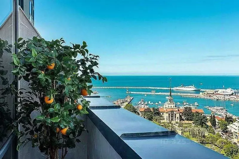 3-к кв. Краснодарский край, Сочи Центральный мкр, ул. Войкова, 21 ... - Фото 1